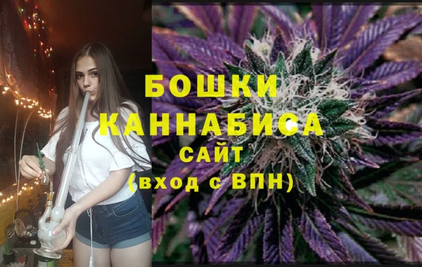 СК Медногорск